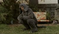 Wilfred